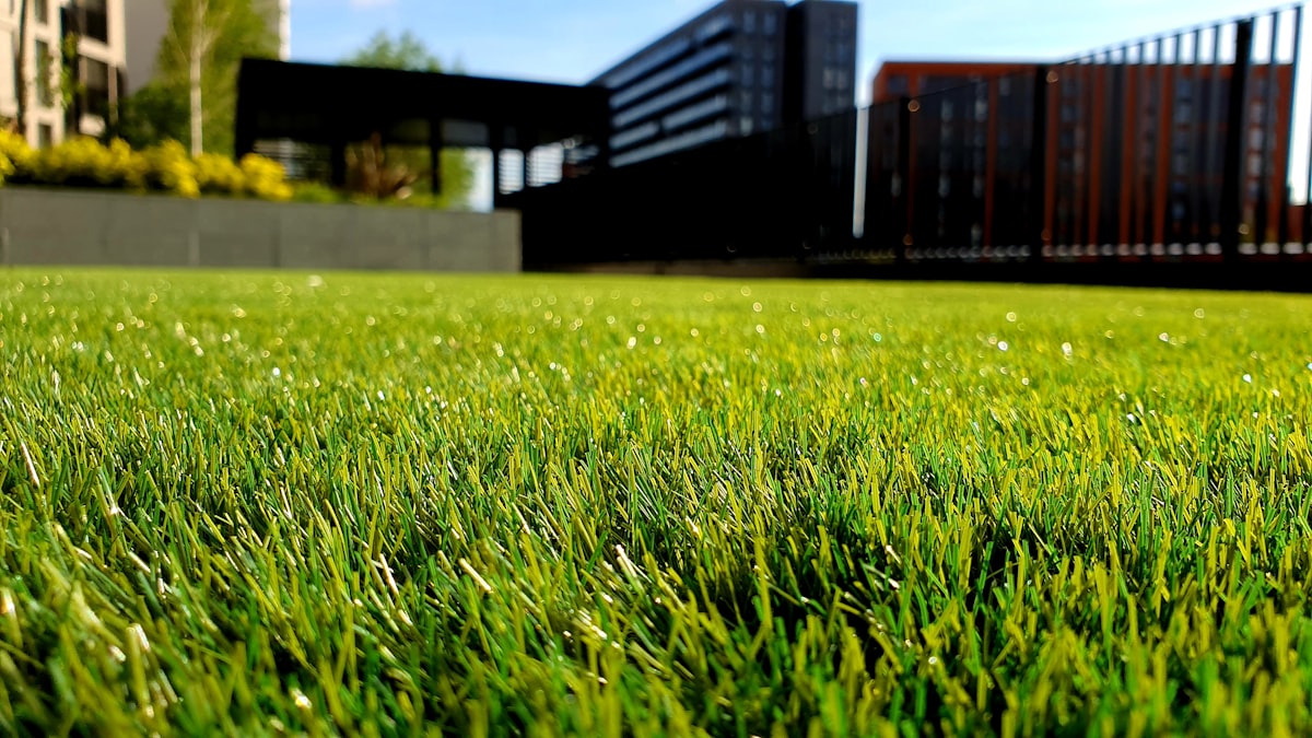 Beautiful green landscaped lawn