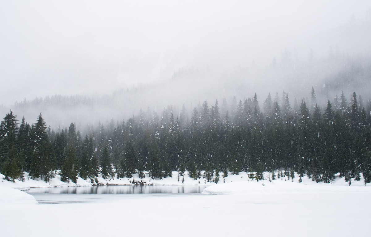Residential snow removal